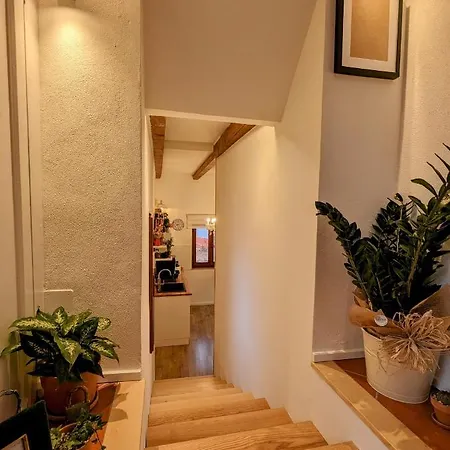 B&B Panorama 3*