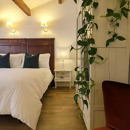 B&B Panorama 알게로