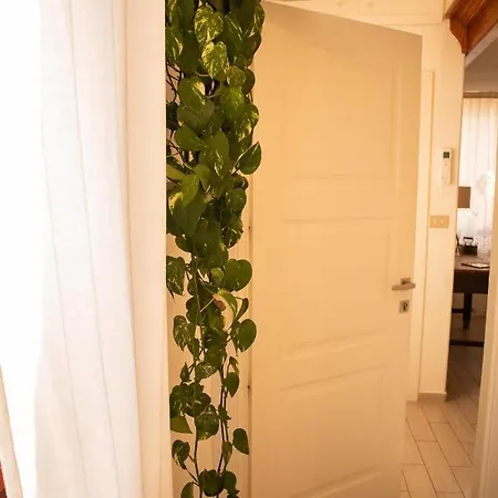 Bed & Breakfast Panorama